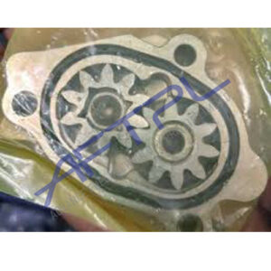 Assembly of Service parts gear pump suitable for 0445020515, 0 445 020 515, bharat Benz, 1462C20987, 1 462 C20 987